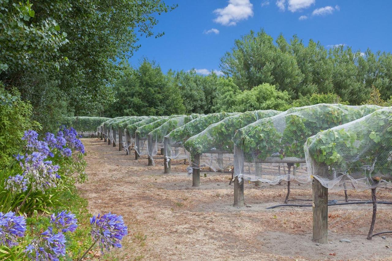 Clearwater Olive Estate Vila Christchurch Exterior foto